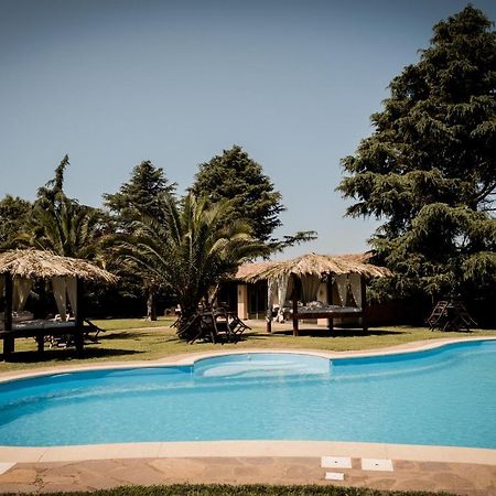 Villa Iulia Vetralla Ngoại thất bức ảnh
